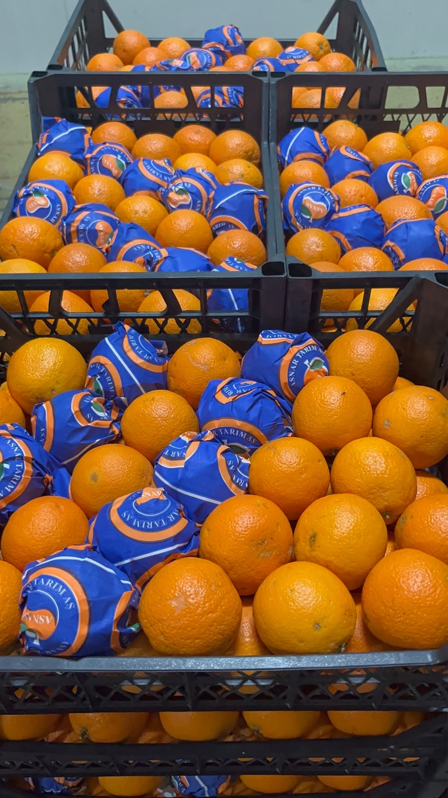 Paketlenmiş Ürünler